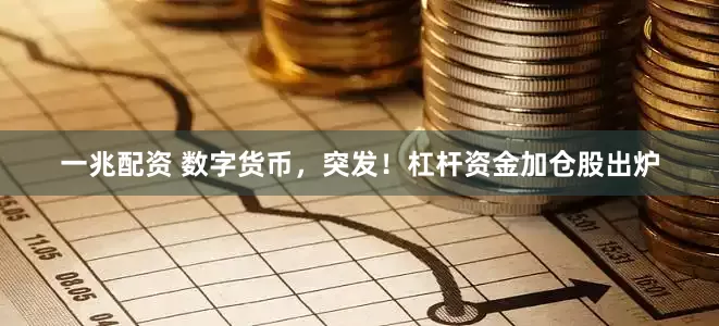 一兆配资 数字货币，突发！杠杆资金加仓股出炉