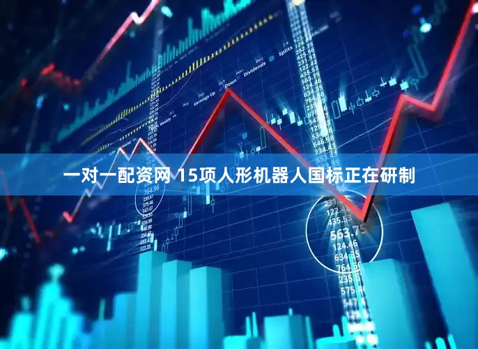 一对一配资网 15项人形机器人国标正在研制
