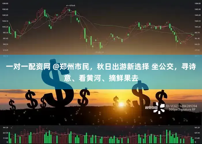 一对一配资网 @郑州市民，秋日出游新选择 坐公交，寻诗意、看黄河、摘鲜果去
