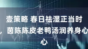 壹策略 春日祛湿正当时，茵陈陈皮老鸭汤润养身心
