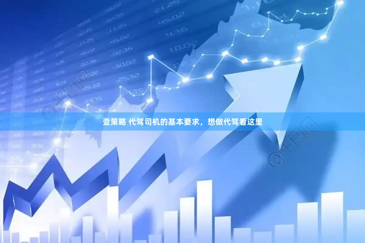 壹策略 代驾司机的基本要求，想做代驾看这里
